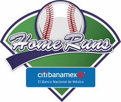 logo-home-runs