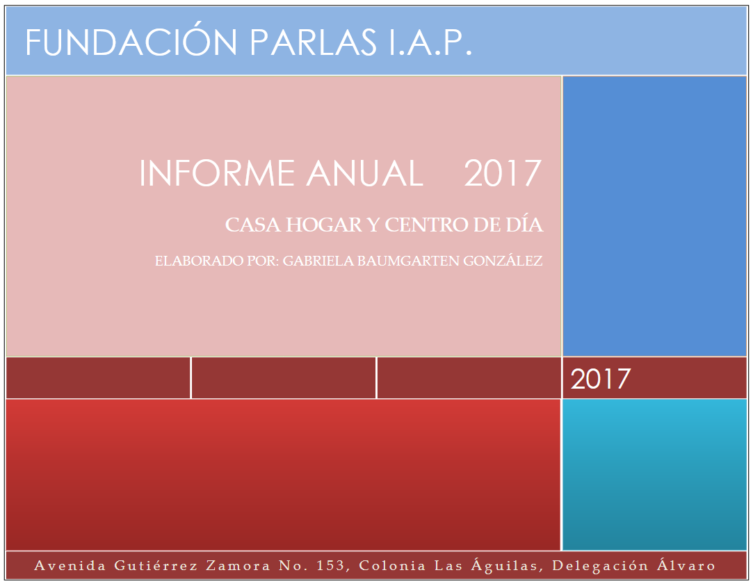 INFORME ANUAL 2017