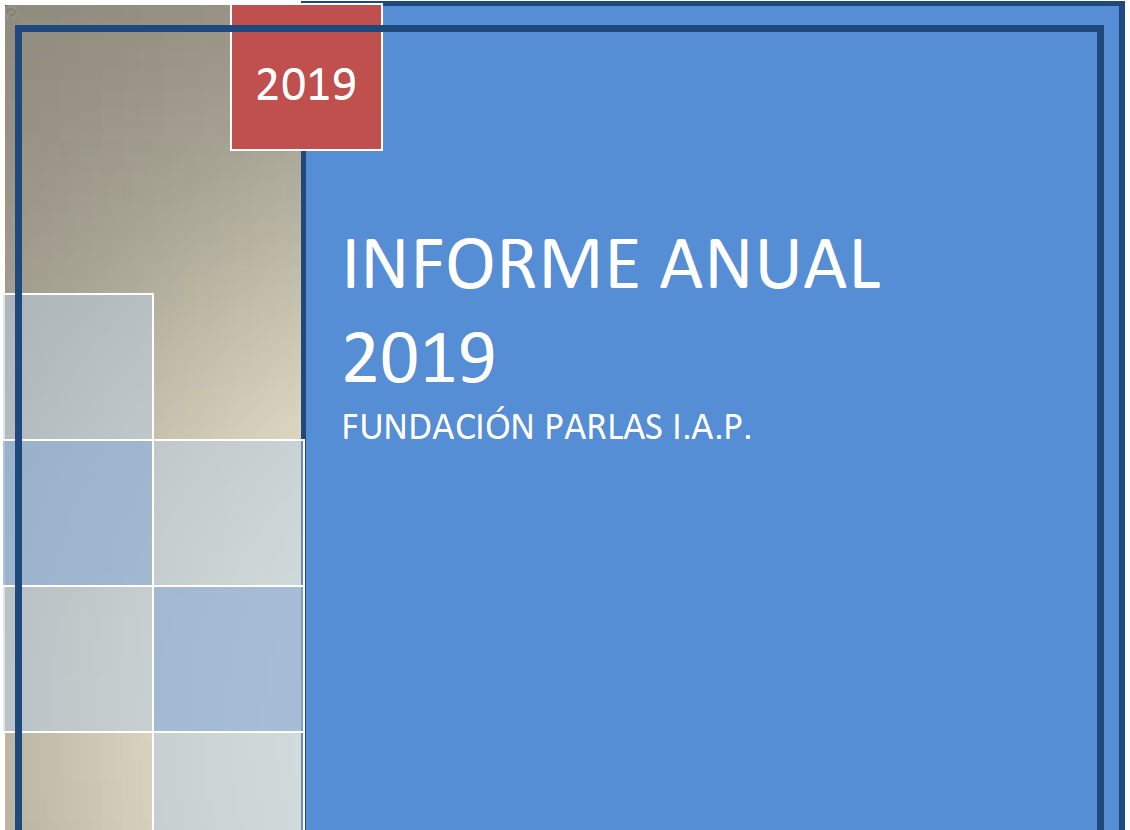 INFORME ANUAL 2019